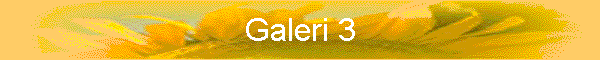 Galeri 3