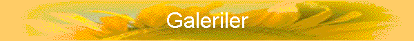 Galeriler