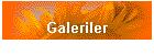 Galeriler