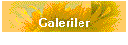 Galeriler