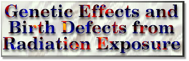 Genetic Effects and Birth
Defects from Radiation Exposure