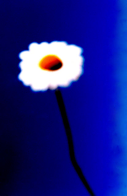 Nature; Enter Gallery