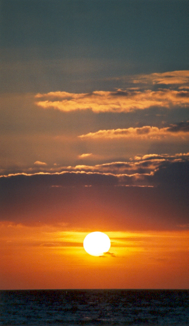 Seascapes; Enter Gallery