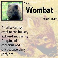 Ok, just had to take this one.  And I may be a little self conscious, but I can guarrentee that's not why!