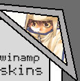 wimap skins