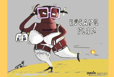 election scandal in zim