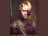 9-7 �ծ���k (Seven of Nine, The Borg Beauty)