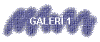 GALER� 1