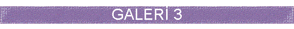 GALER� 3