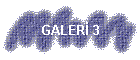 GALER� 3