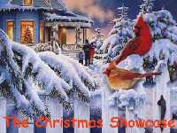 christmasshowcase