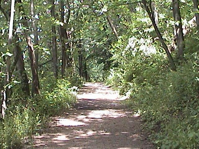 Peaceful Trail