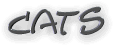 cats text