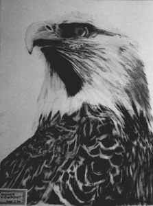 eagle pic - Higher Viewpoint