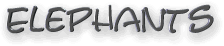 elephants text