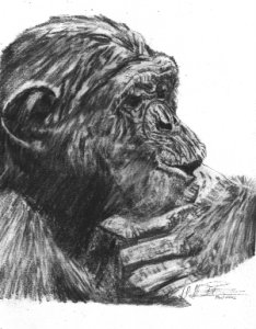 monkey pic - Finger Lickin Good