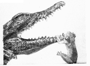 frog & gator pic- Did you see my Brother?