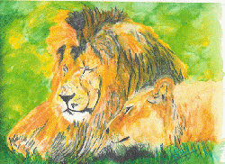 lion in watercolor