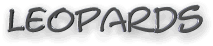 leopard text