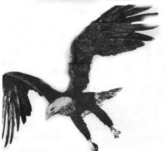 eagle