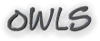 owls text