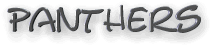 panthers text