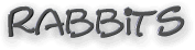 rabbits text