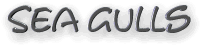 sea gulls text