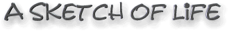 A Sketch of Life logo