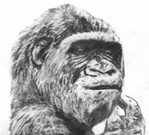 monkey pic - The Thinker