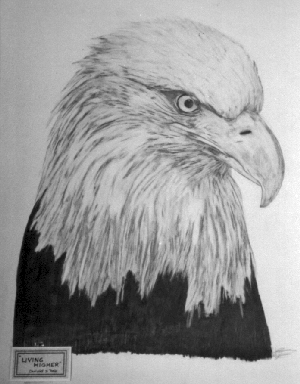 eagle pic