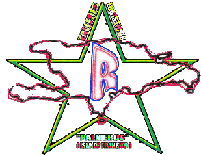 Logo Talleres Logisticos Palmeros