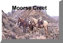 Moorse Creek Ride