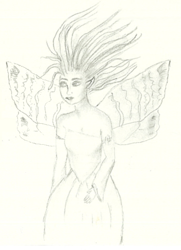 fairy3