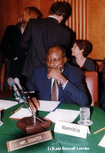 His Excellency Mr. Martin Andjaba