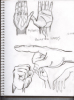 Hand Study