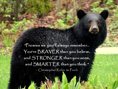 Bear Promise