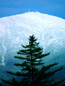 Mount Washington and Pine