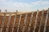 Beach Fence