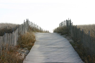 Beach Path