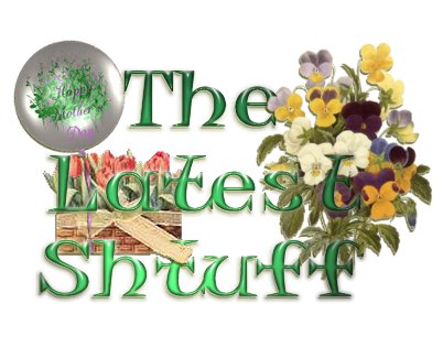 The Latest Shtuff - news about our lives