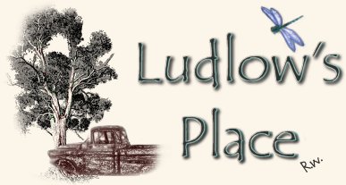 Welcome to Ludlow's Place