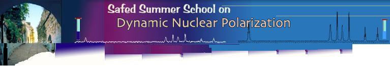 Top of the Webpage of the DNP School