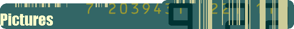 Pictures