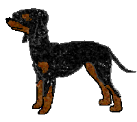 Charmin doesn't really liked to be touched. Our favorite saying is Dont squeeze the Charmin!