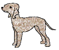 Argo thinks he's King of the castle and frankly no one has made him think differently.