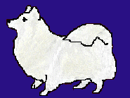 Fidget will not sit still, that's why he's called Fidget. The least amount of motion he's ever attained was laying on his back with his feet flailing.