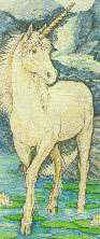 Unicorn