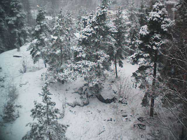 Click here for another winter picture >>