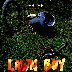 Lawn Boy